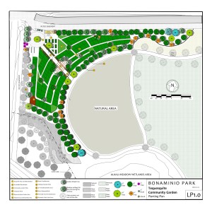 The TCG Proposed Plan