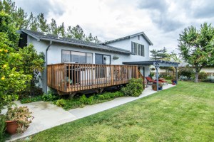 Beautiful Back Yard Decck & Patio
