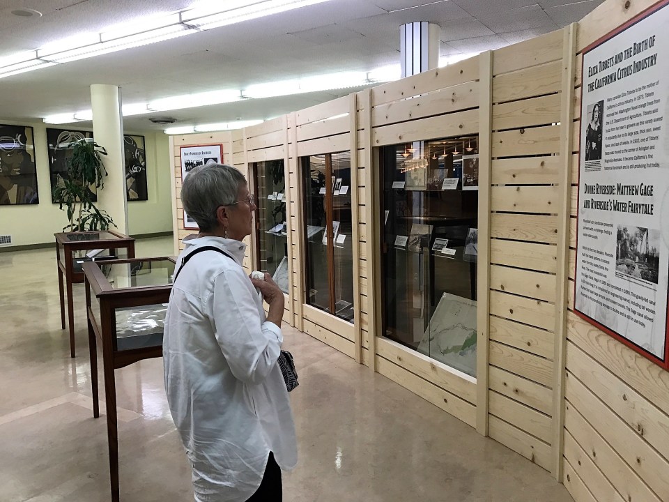 orange-roots-exhibit-display